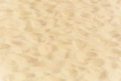 High angle view of paper on beach