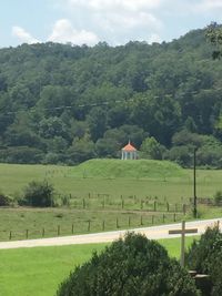 Scenic view of field and trees against sky