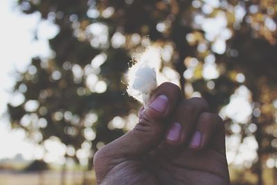 Close-up of human hand with cotton