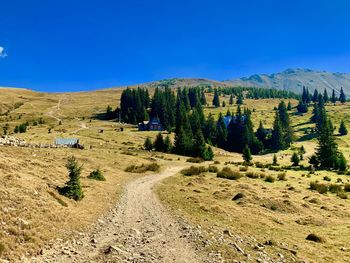Scenic view of landscape against clear blue sky