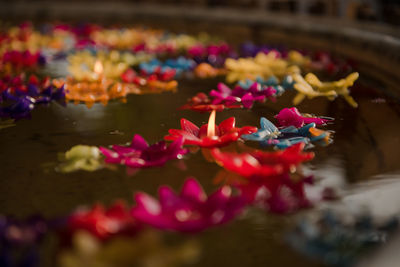 High angle view of multi colored diyas in pond