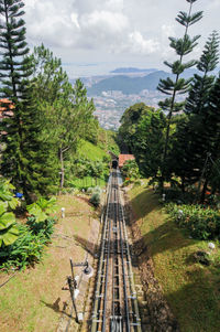 Railroad track amidst trees against sky