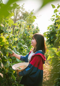 Woman plucking vegetables from plants at orchard