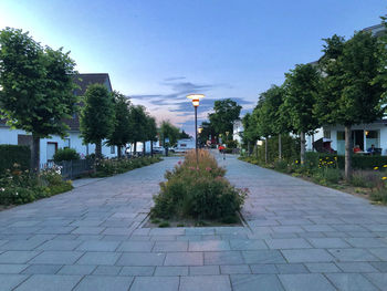 Street amidst trees and plants against sky