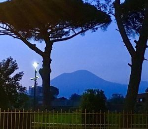 Trees on mountain against sky