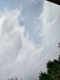 Low angle view of tree against sky