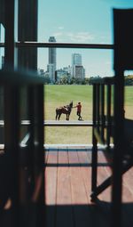 Rear view of woman standing by railing
