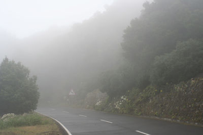 Road by trees during foggy weather
