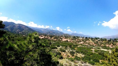 Scenic view of landscape against blue sky