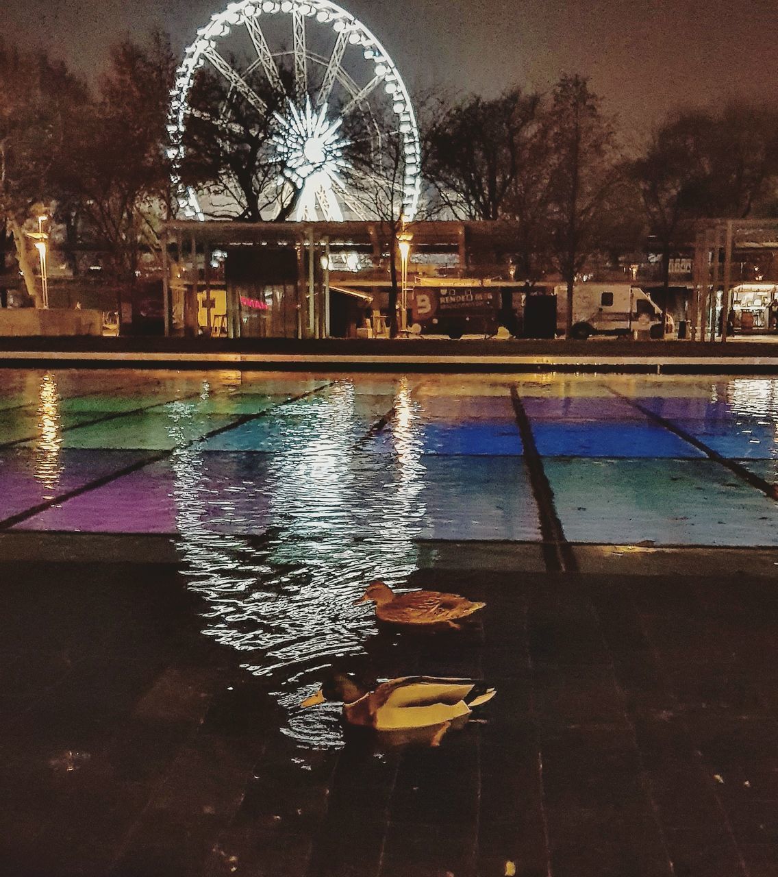 SWIMMING POOL BY ILLUMINATED CITY AT NIGHT