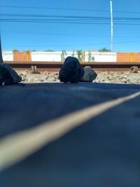 Man sitting on road in city against sky