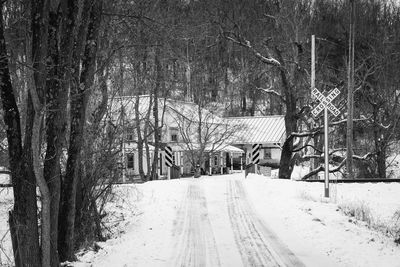 Snow covered road amidst trees during winter