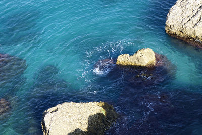 High angle view of rock formation in sea