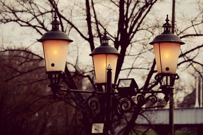 Lamp posts against trees