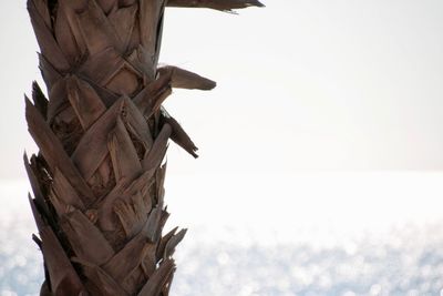 Low angle view of sculpture against clear sky