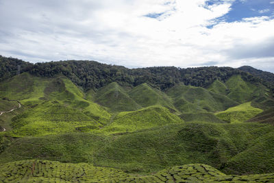 Scenic view of landscape against sky