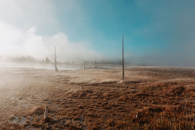 Scenic view of field against sky