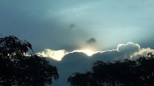 Low angle view of silhouette trees against sky