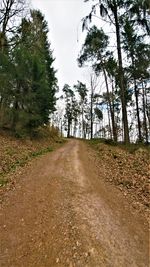 Dirt road in forest against sky