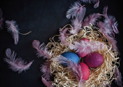 High angle view of easter eggs on textile with feather