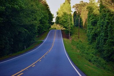 Empty road amidst trees