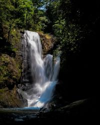 Scenic view of waterfall in forest