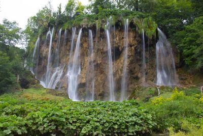 View of waterfall in forest