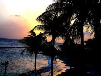 Silhouette of tree at beach during sunset