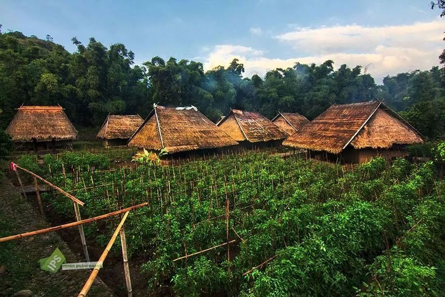 sky, tree, field, rural scene, green color, grass, growth, agriculture, wood - material, built structure, tranquility, cloud - sky, landscape, farm, architecture, building exterior, nature, house, tranquil scene, day