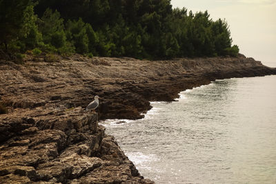 Scenic view of rocks in sea against sky