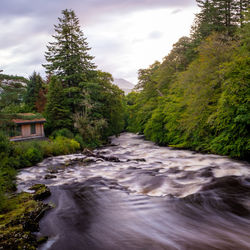 River flowing amidst trees against sky