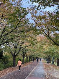 Rear view of women walking on footpath amidst trees during autumn
