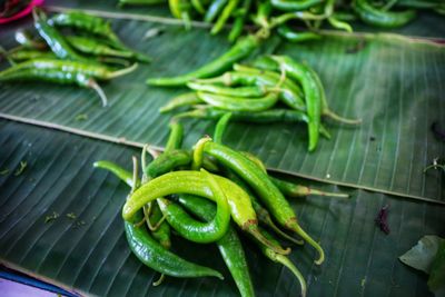 High angle view of green chili peppers on plant