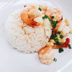 High angle view of rice with shrimps served in plate