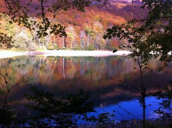 Scenic view of lake in forest during autumn