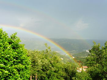 Scenic view of rainbow over trees