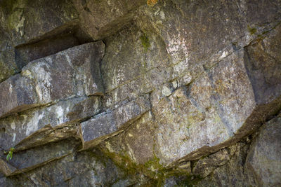 Close-up of rock formation