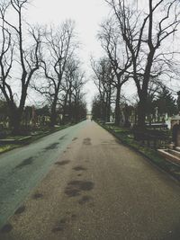 Empty road along trees