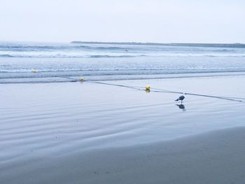 Scenic view of beach against clear sky