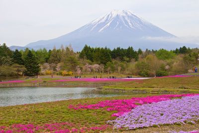 High angle view of trees and mountains