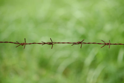 Close-up of barbed wire fence