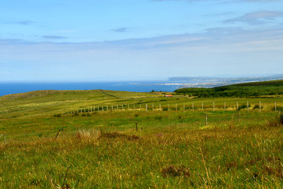 Scenic view of grassy field against sky