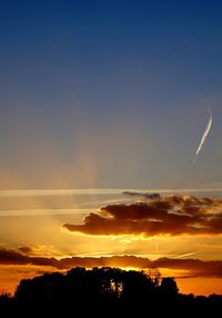 Silhouette of trees at sunset