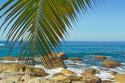 Scenic view of sea against clear sky