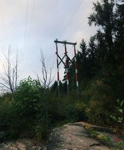 Low angle view of hanging from tree against sky