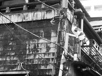 Low angle view of man in office building