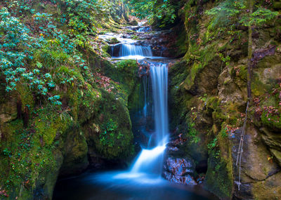 Waterfall in forest