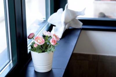 Potted plant on window sill