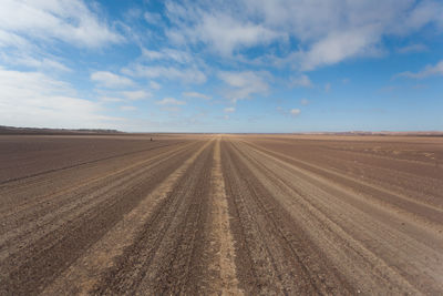 Scenic view of agricultural field against sky