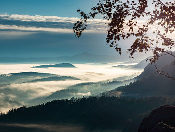 Morning september landscape with fir forest and mist in valley. aerial view, misty autumn season